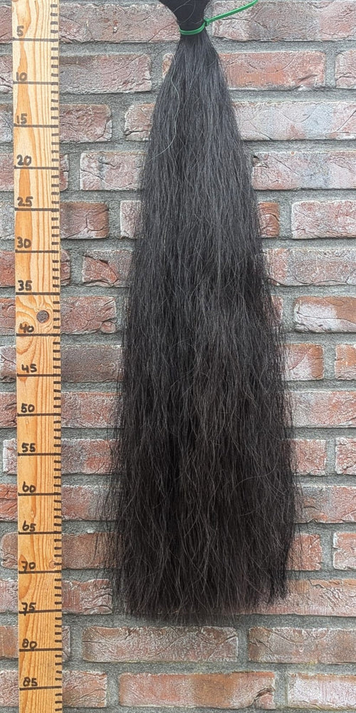 1/9 Volle zwarte staart.