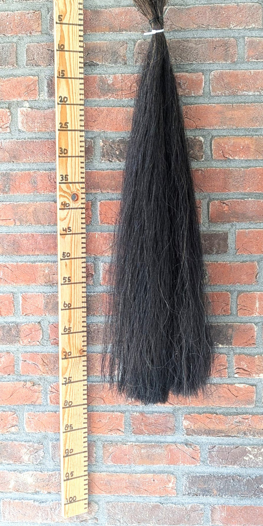 1/13 Zwarte staart.