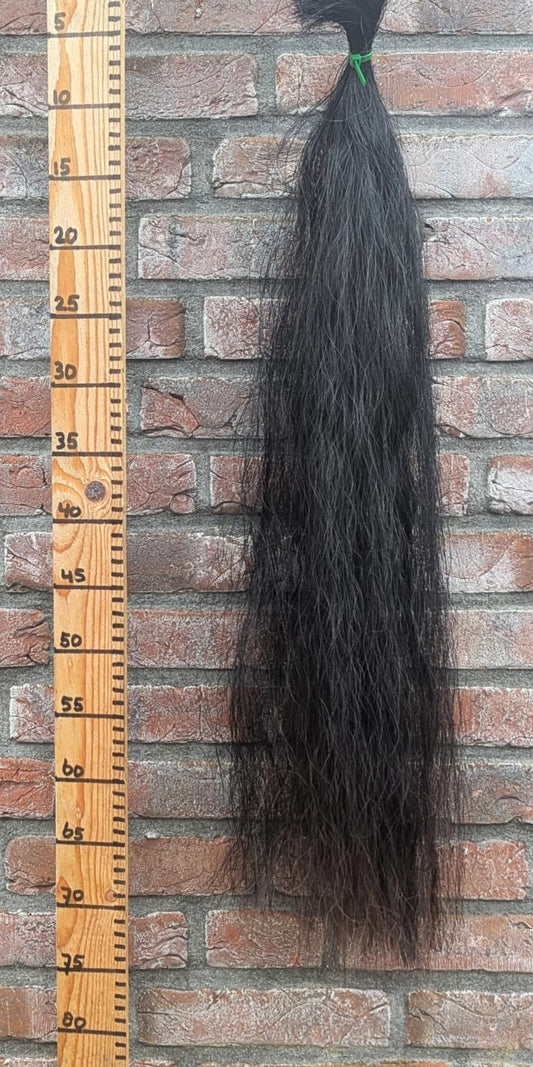 1/10 Zwarte staart met bruine onderkant.