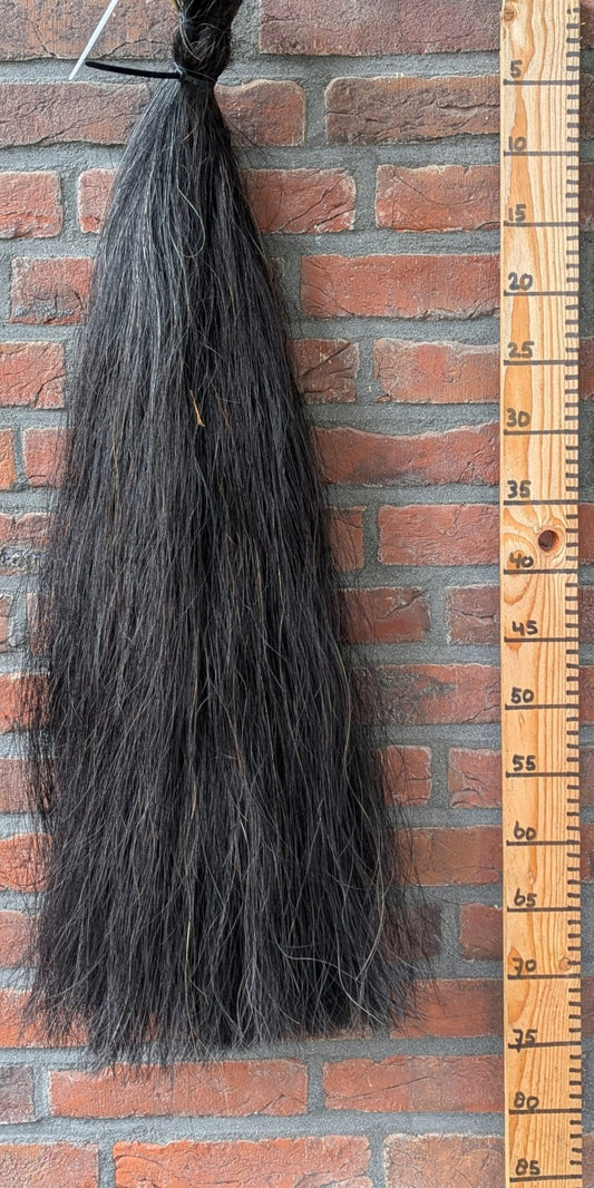 Volle zwarte staart.