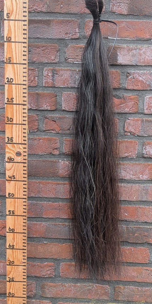 20/6 Zwarte staart met bruin er doorheen.