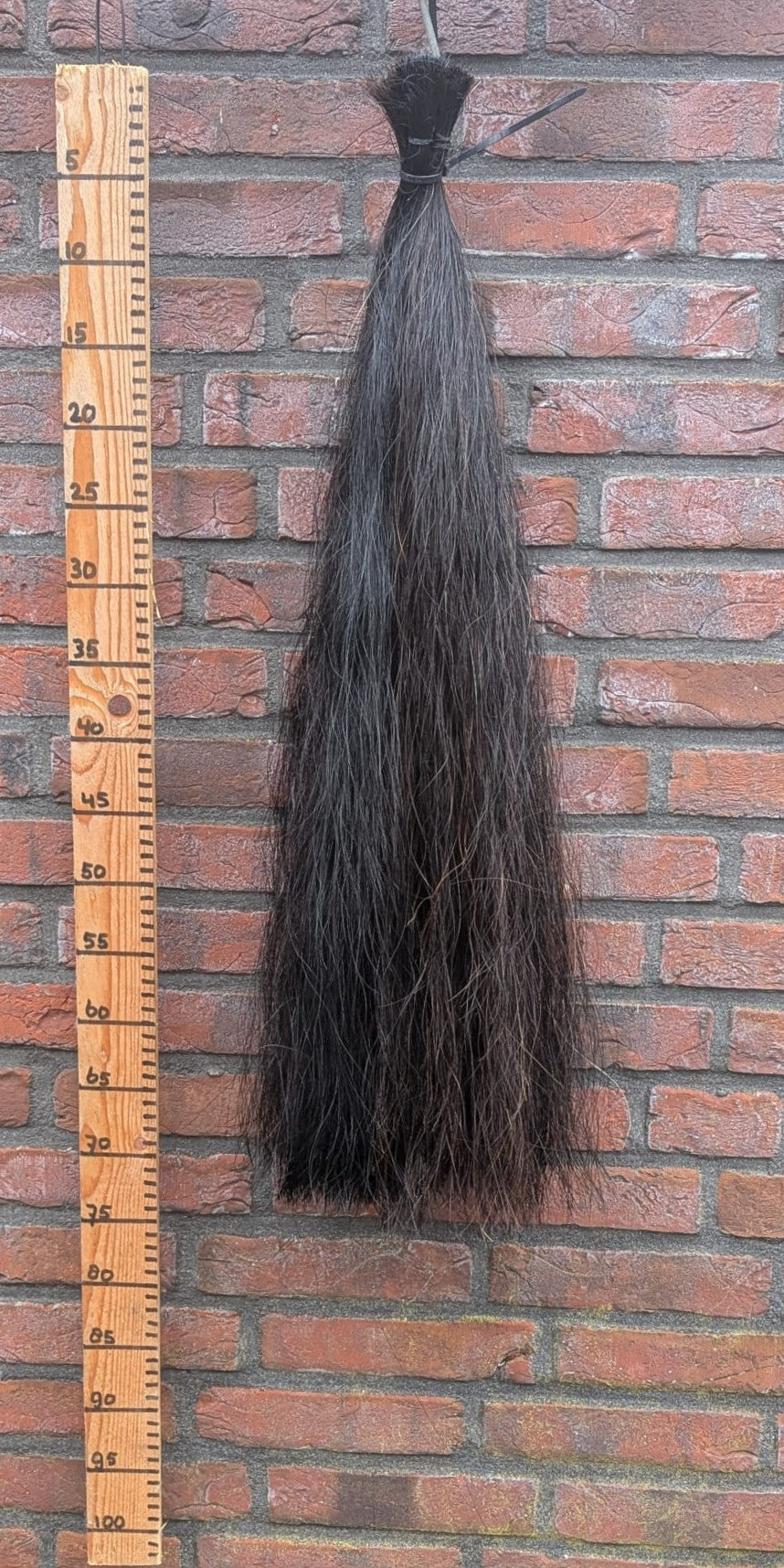 20-7 Volle zwarte staart.