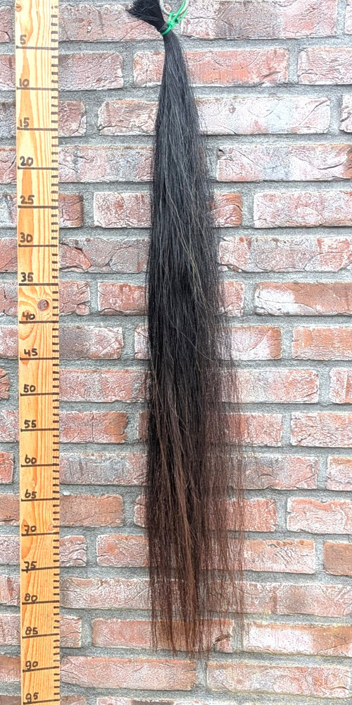 21/12 Zwarte staart met bruine onderkant.