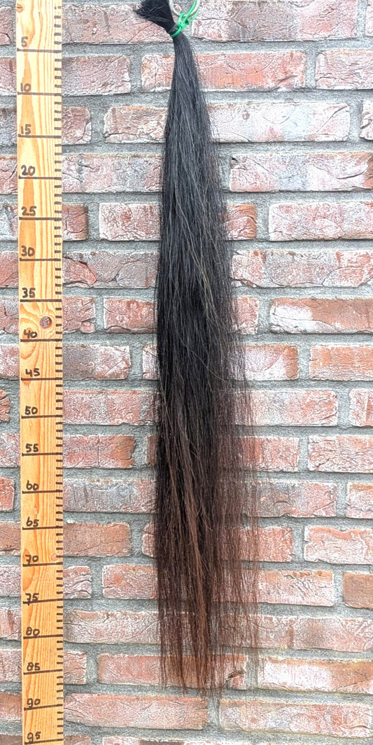 21/12 Zwarte staart met bruine onderkant.