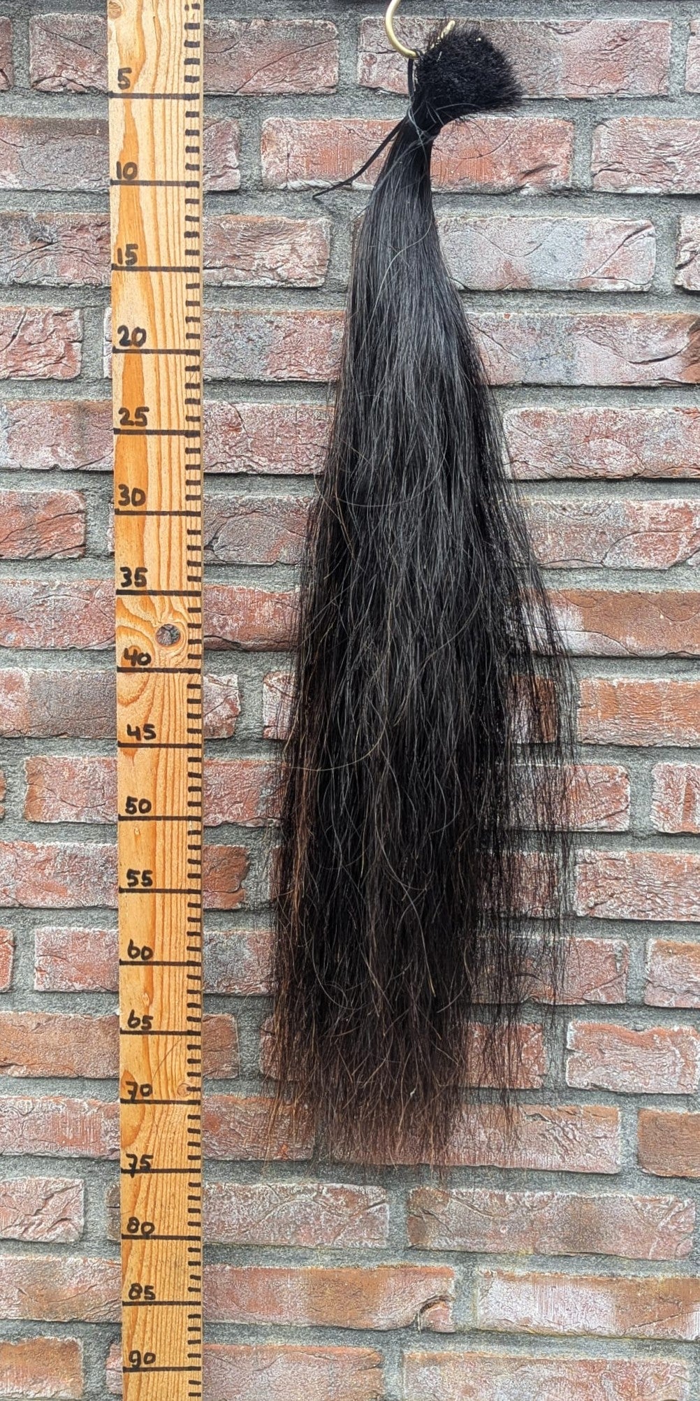 Zwarte staart met bruine haren