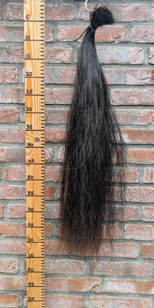 Zwarte staart met bruine haren