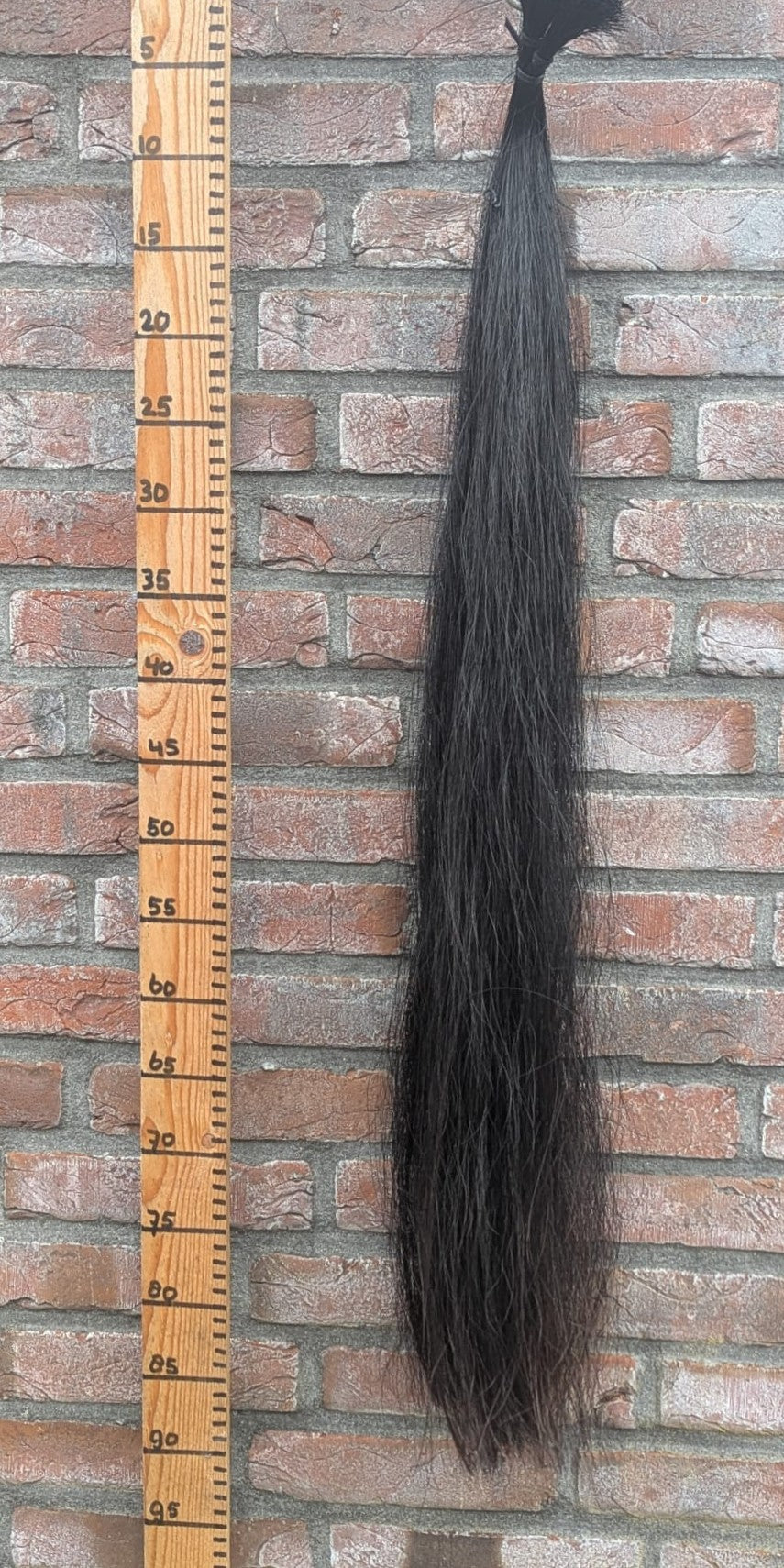 23/9 Zwarte staart.