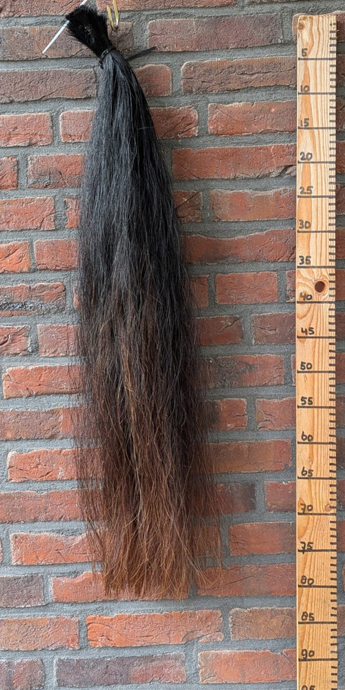 Zwarte staart met bruine onderkant.