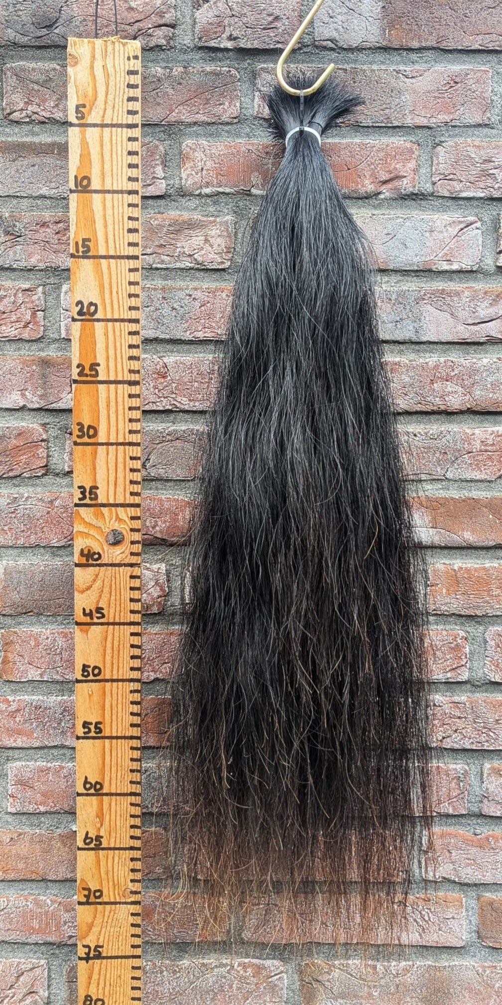 Zwarte staart met  bruine punten.