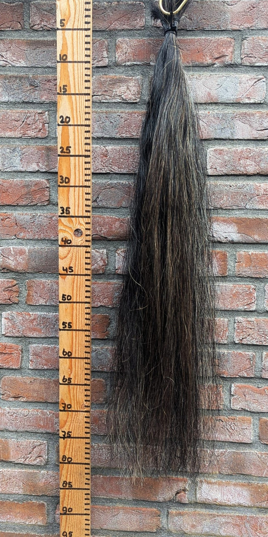 Grijze staart met bruine haren.