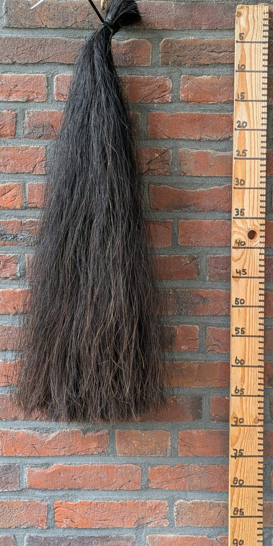 Volle zwarte staart.