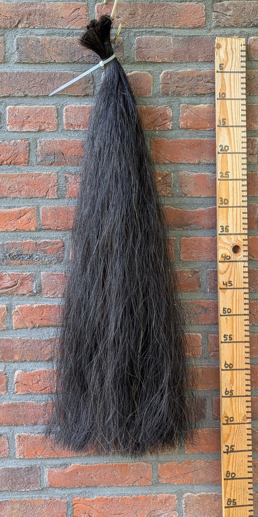 Volle zwarte staart.