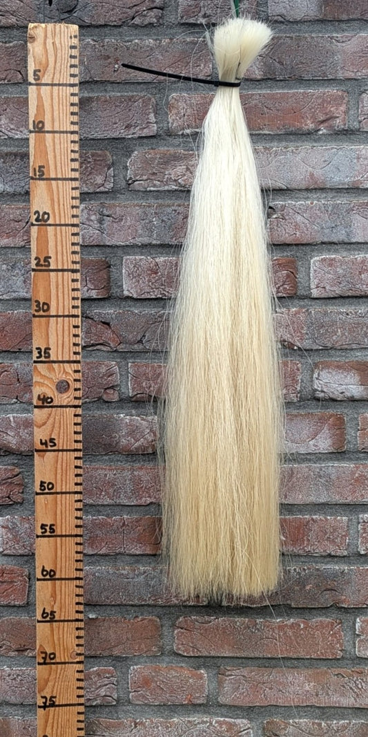 12/2 Witte staart met iets gele onderkant.