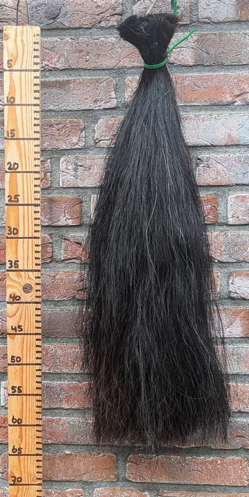 2/9 Volle zwarte staart.