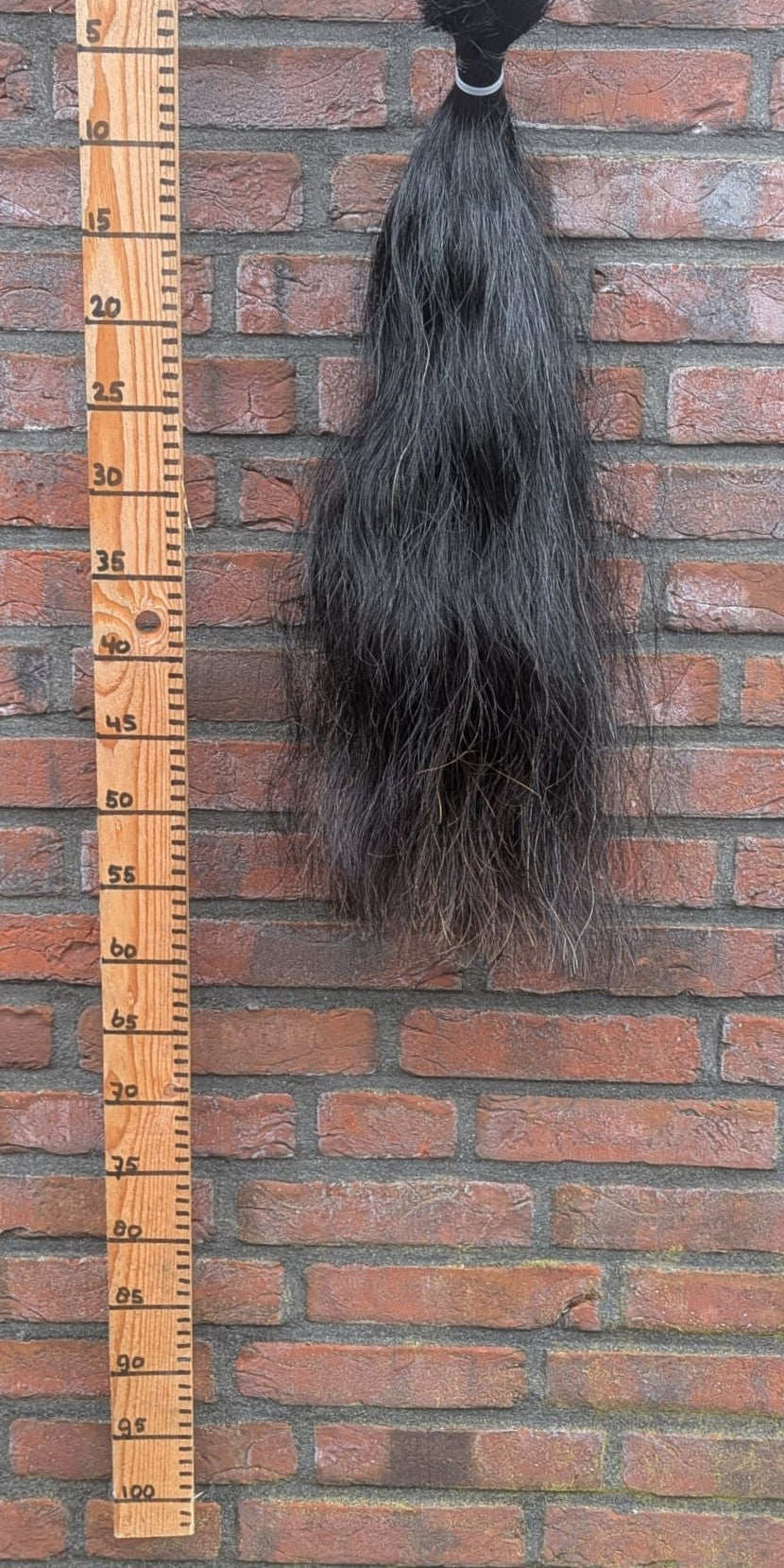 2/5 Zwarte staart.