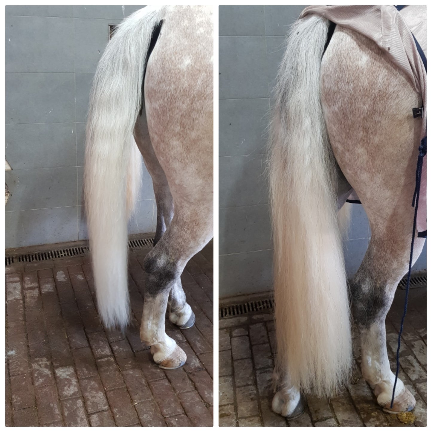 A-4 PEX inzetstaart wit