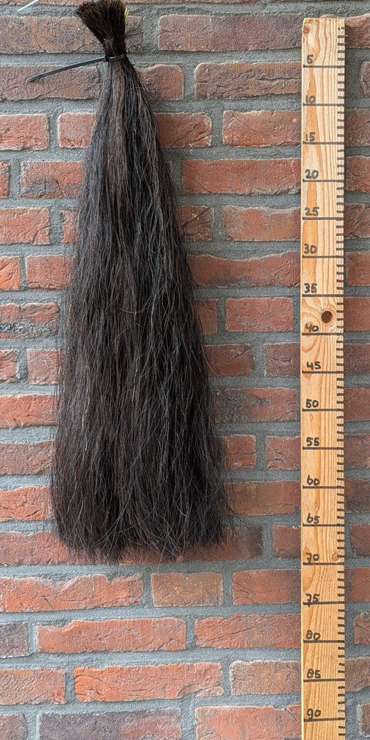 Volle zwarte staart.