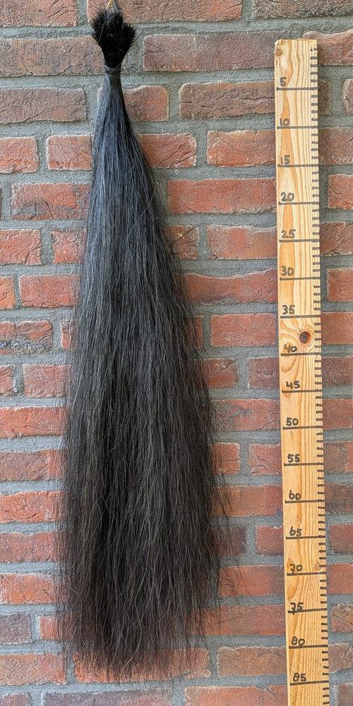 Zwarte staart met wat witte haren er doorheen