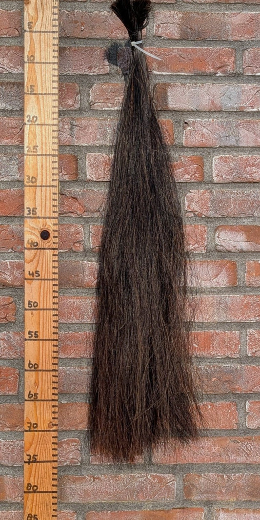 3/8 Zeer donkere voskleur staart.