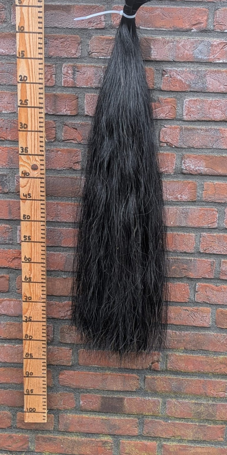 3/6 Volle zwarte staart.
