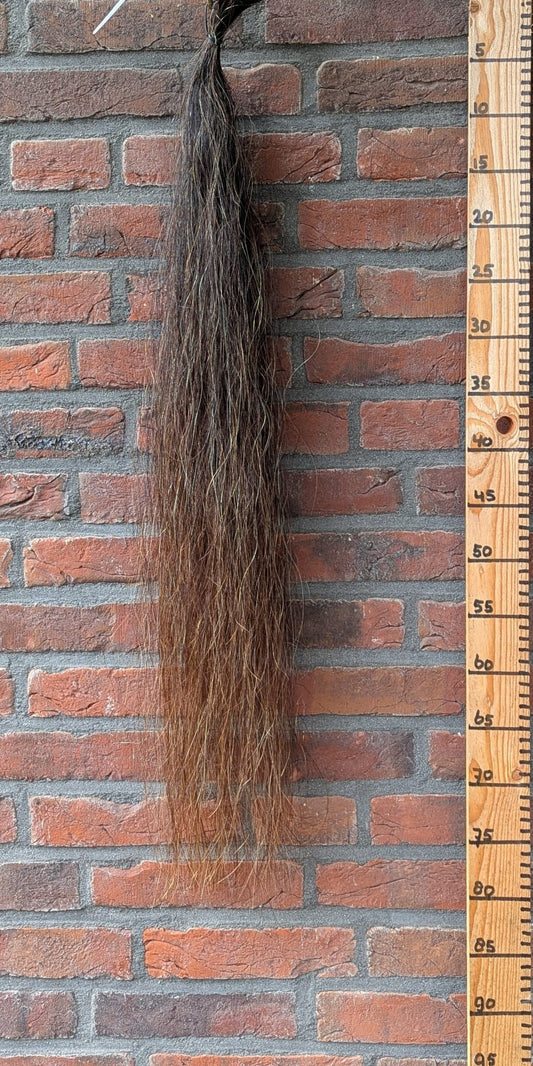S 4/3 Gemêleerde staart.