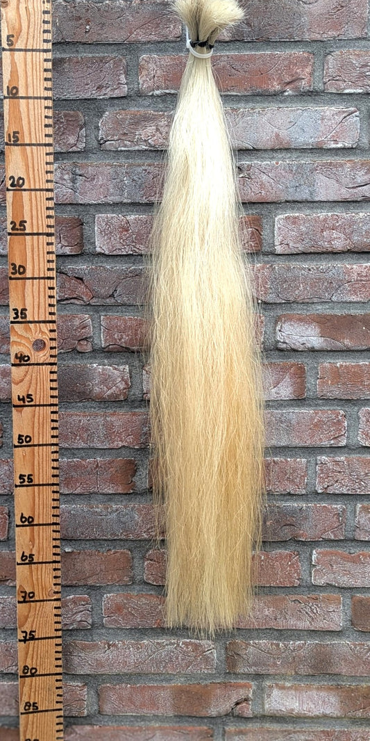 12/4 Witte staart met iets gele onderkant.