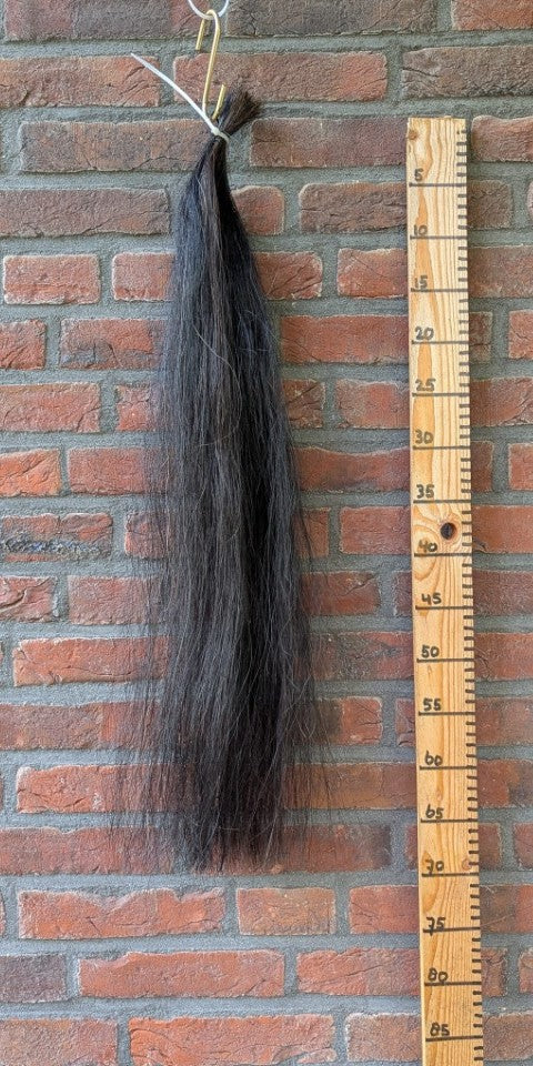 Mooie zwarte staart.