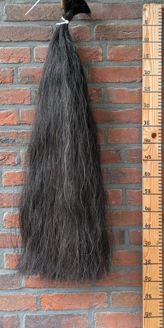 Volle zwarte staart met wat wit haar erin.