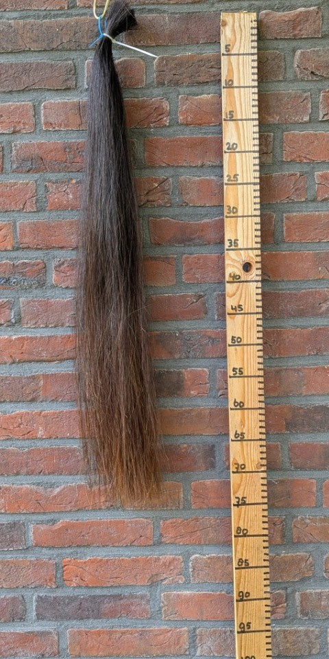 Donkere vos staart met lichte onderkant.