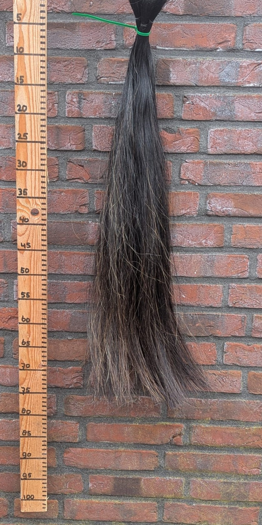 5/6 Zwarte staart met iets lichte bruine onderkant.