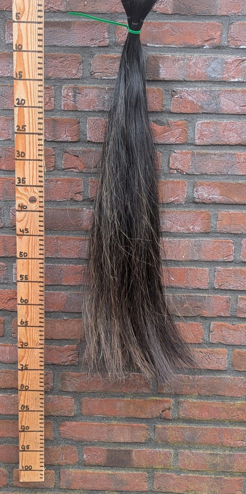 5/6 Zwarte staart met iets lichte bruine onderkant.