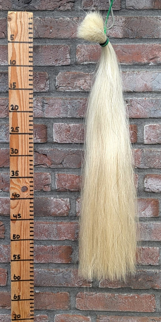 S 12/5 Witte staart.