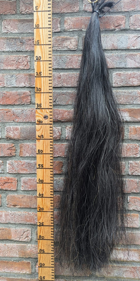 Zwarte lange staart met bruine haren erdoor.
