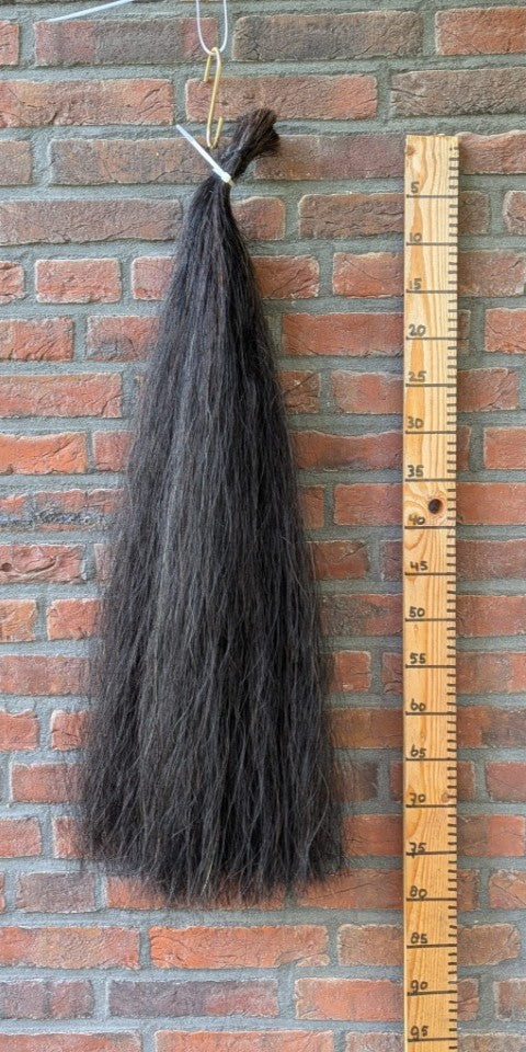 Volle zwarte staart.