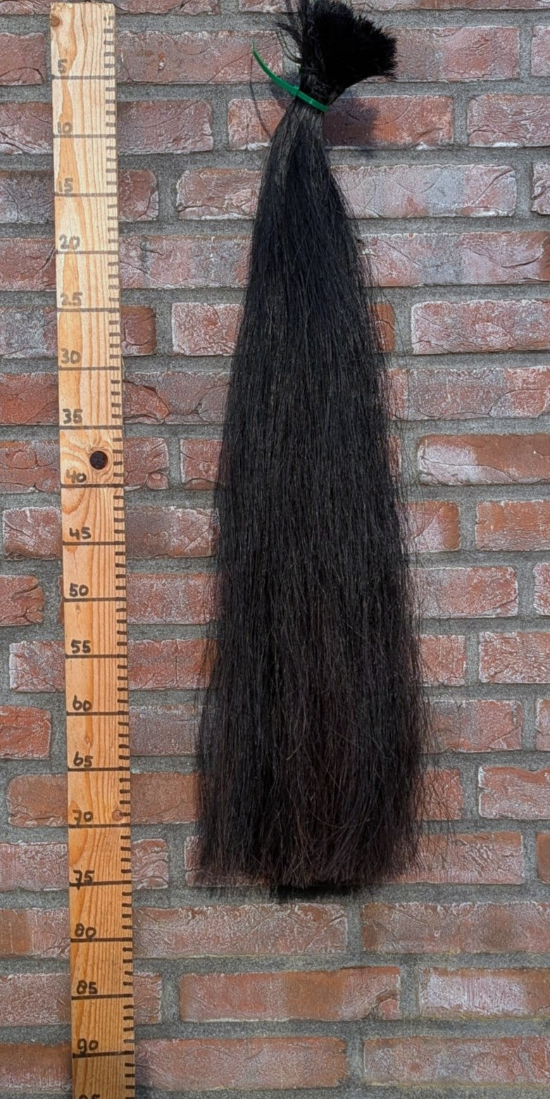 6/8 Volle zwarte staart.