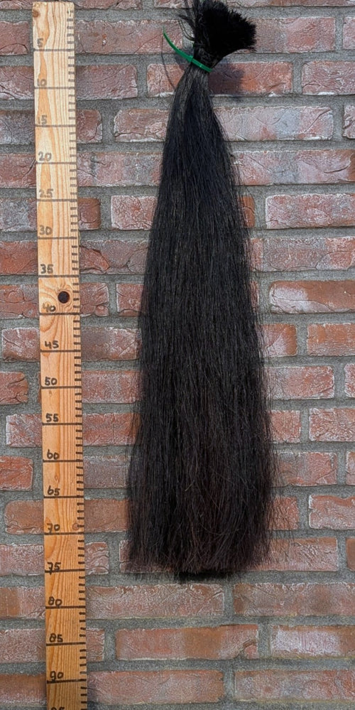 6/8 Volle zwarte staart.