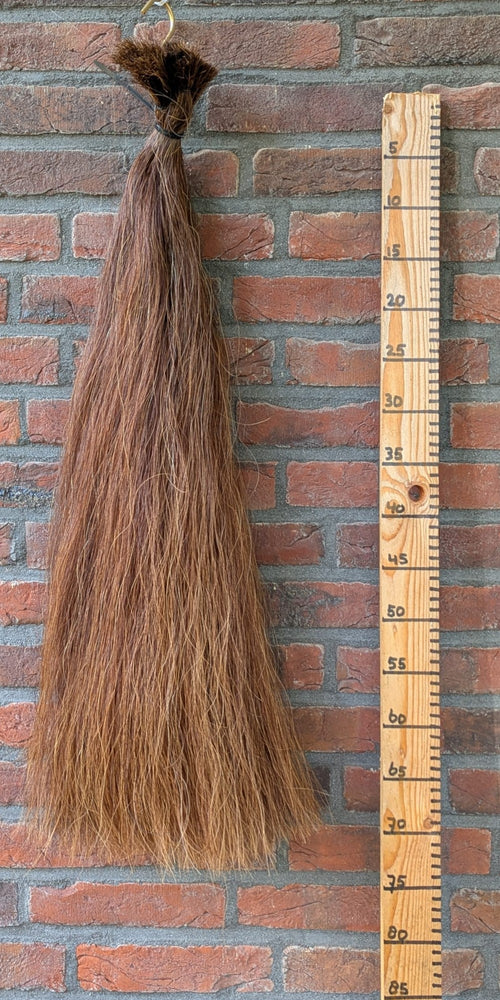Volle voskleur staart.