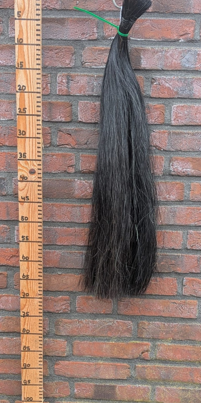 7/6 Zwarte staart.