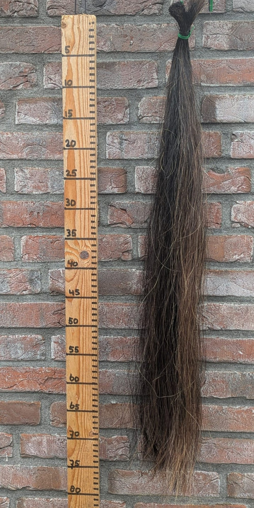 7/10 Donkere voskleur staart met lichte pluk erin.