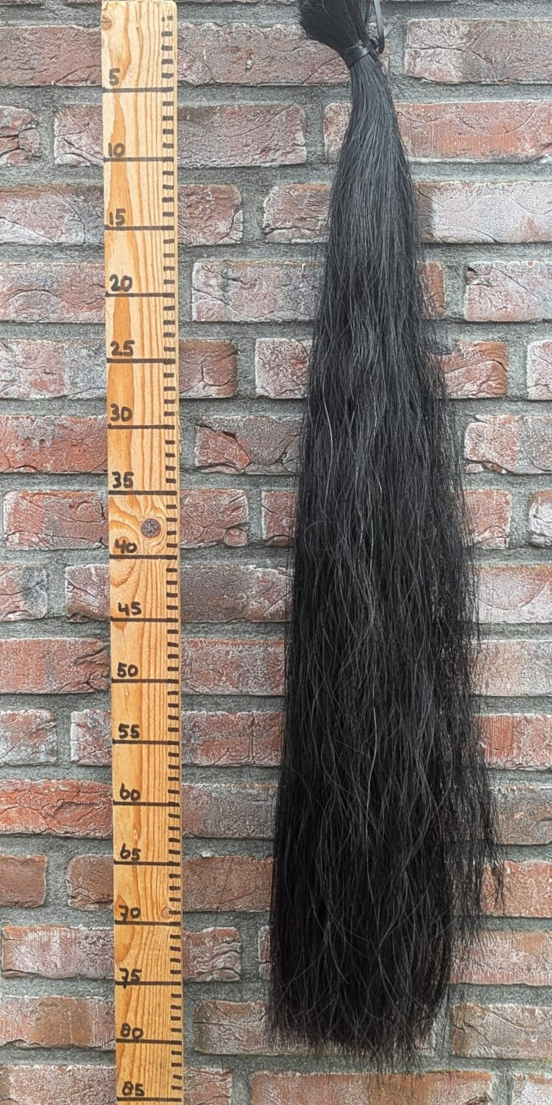 7/9 Zwarte staart.