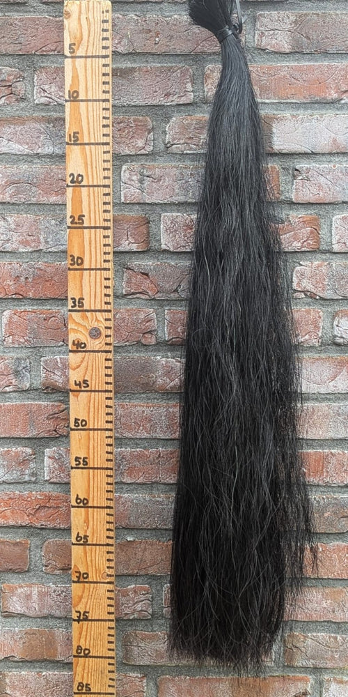 7/9 Zwarte staart.
