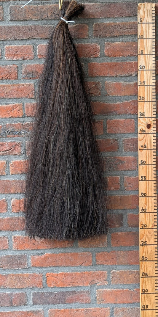 Volle zwarte staart.