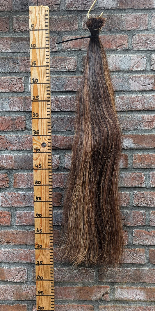 Voskleur staart met lichte plukken.