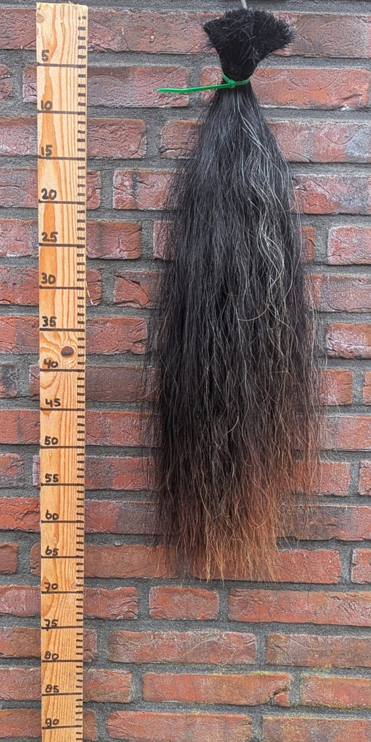 8/7 Korte zwarte staart met bruine onderkant.