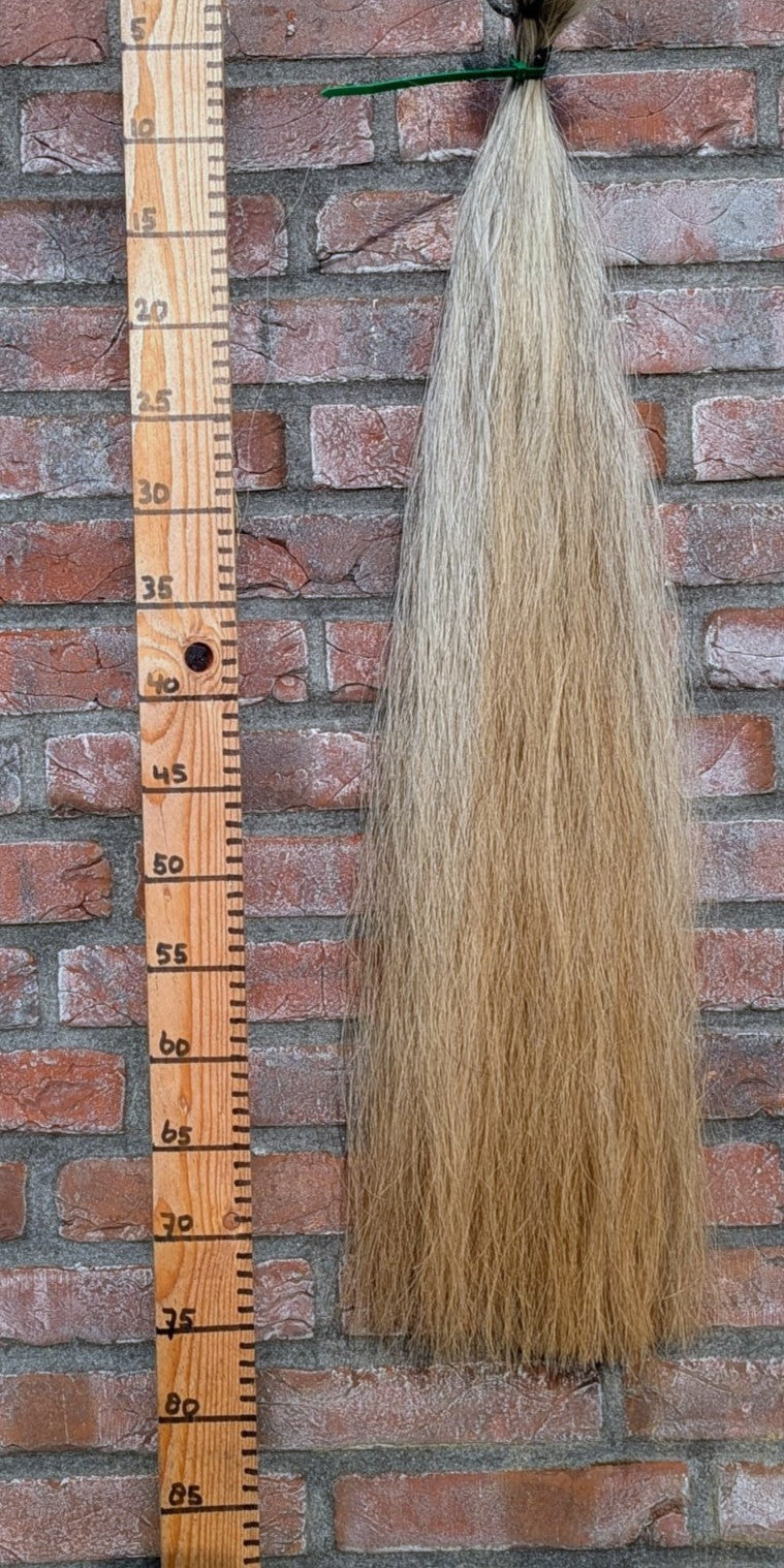 8/8 grijs/witte staart met gele onderkant.