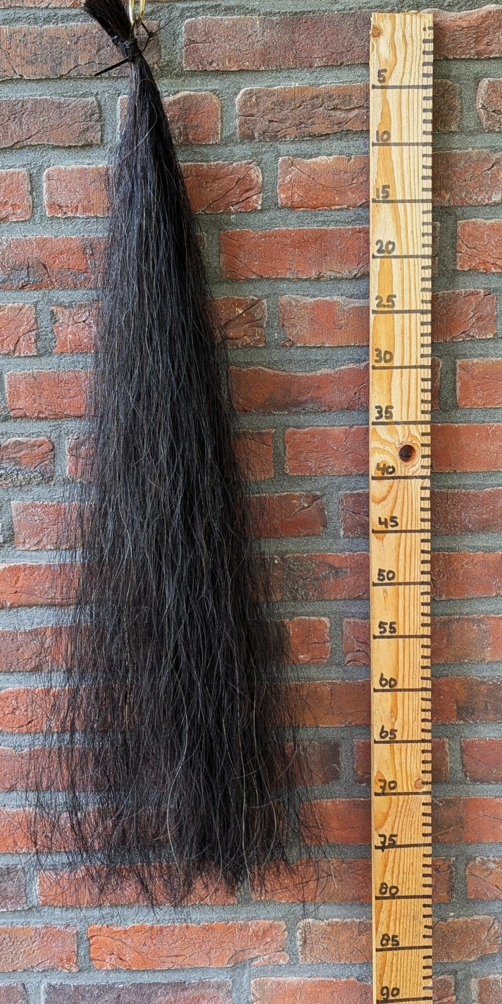 Lange zwarte staart.