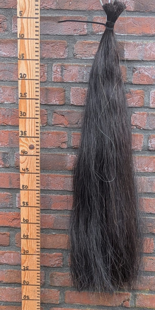 8/6 Zwarte staart.