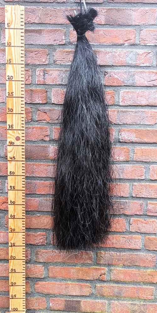 9/7 Volle zwarte staart.