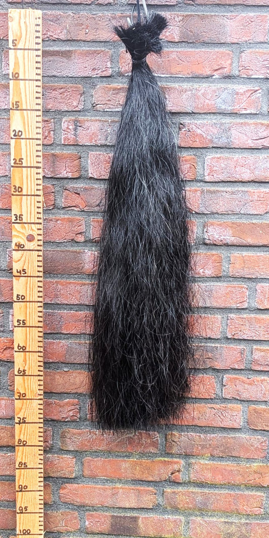 9/7 Volle zwarte staart.