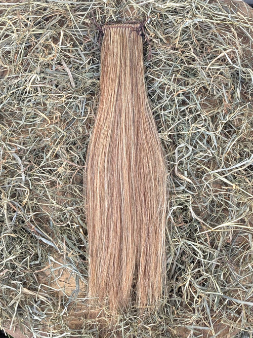 A-13 PEX voorpluk zeer lichte vos